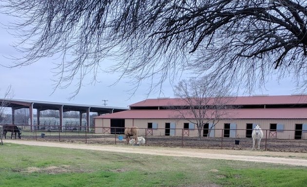 Photo of Equestrian center