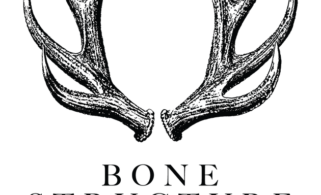 Photo of Bone Structure