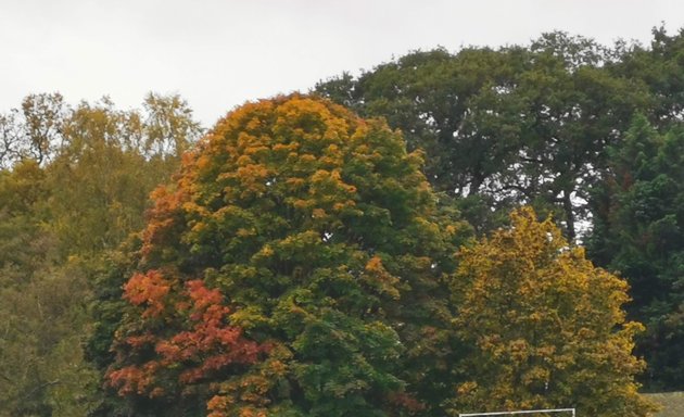 Photo of East Sheen Common