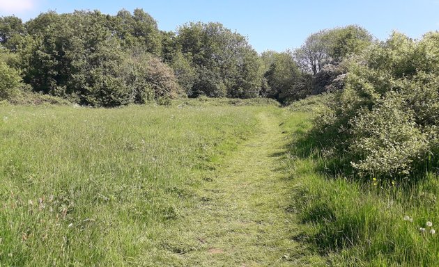 Photo of West Park Meadow Nature Reserve