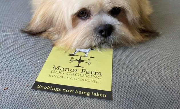 Photo of Manor Farm Dog Grooming