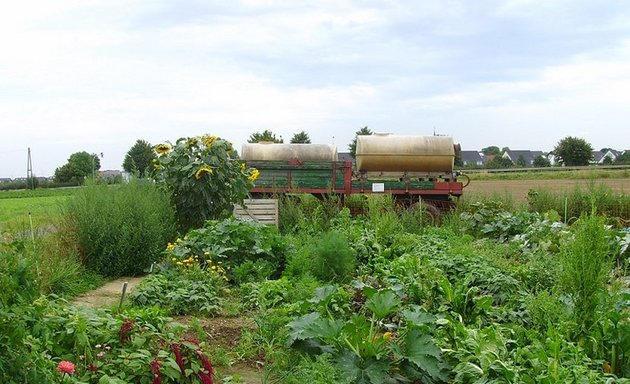 Foto von meine ernte