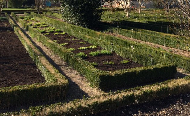 Photo de Jardin Dominique Alexandre Godron