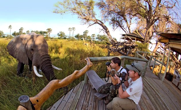 Photo of Bellingham Safaris