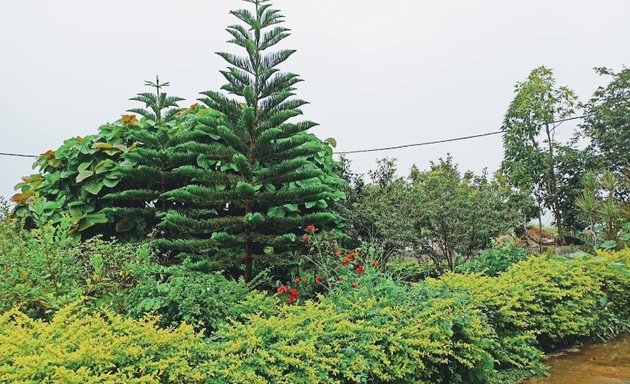 Photo of Monal Garden