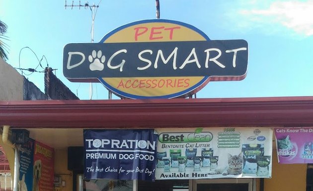 Photo of dog Smart pet & Accessories