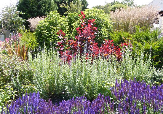 Photo of People Plants Places