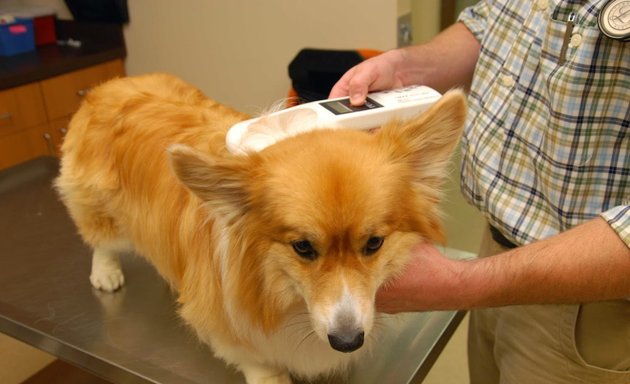 Photo of Cotswold Animal Hospital