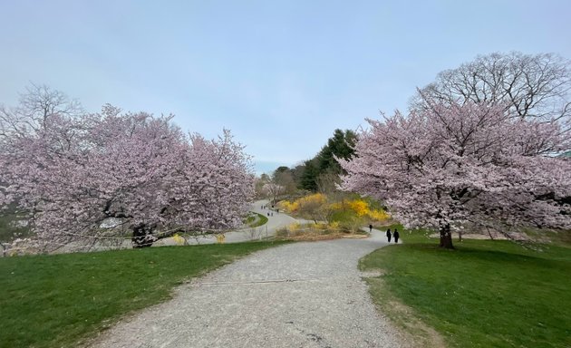 Photo of Arnold Arboretum of Harvard University