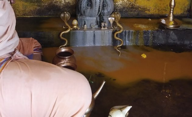 Photo of Shri Nagabrahma Temple