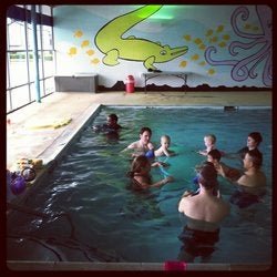Photo of SwimJim Swimming Lessons Texas