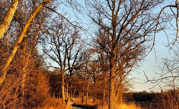 Photo of Park Alleys