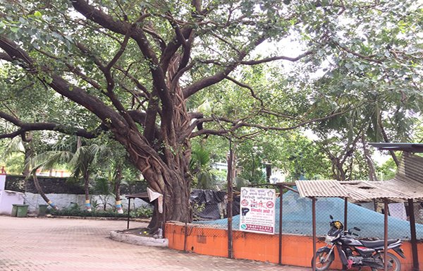 Photo of Shree Narmadeshwar Mahadev Temple