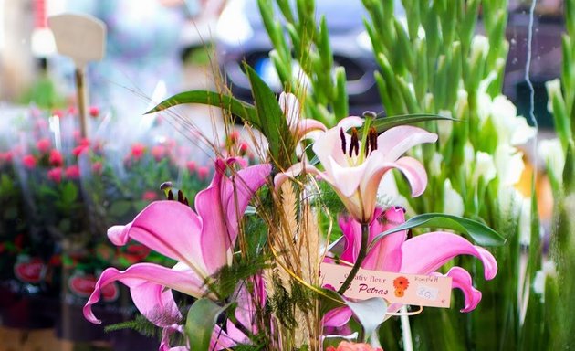 Foto von Creativ Fleur Petras - Blumen in Spandau