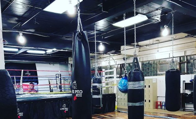 Photo of Lynx pro Boxe