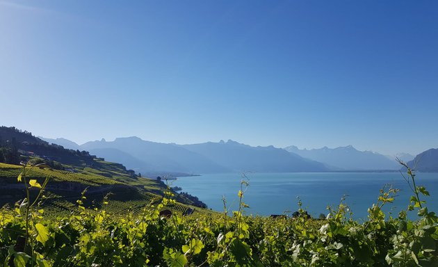 Foto von Swiss WineArt WeinArt AG