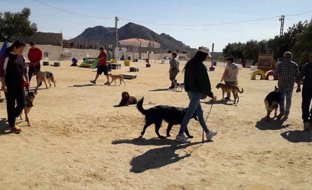 Foto de SeguraCan Centro Canino