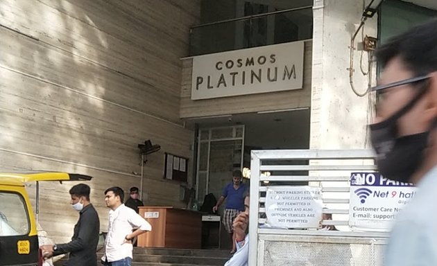 Photo of Cosmos Platinum