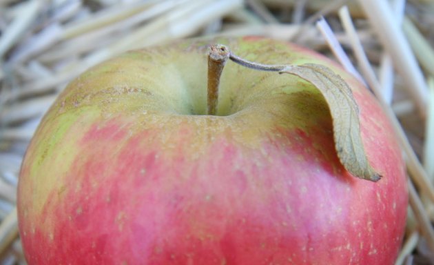 Photo of Apples Food Mart