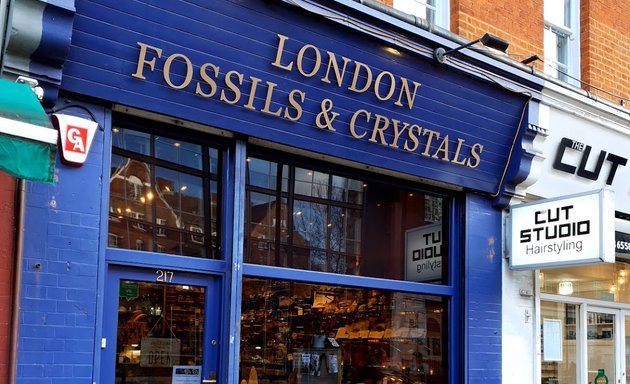 Photo of London Fossils and Crystals