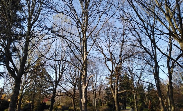 Foto von Landschaftspark Herzberge Eingang Zentralfriedhof