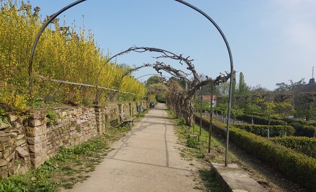 Foto von Knöpfel Wolfgang Rechtsanwalt