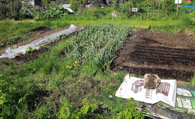 Photo of Highgate Allotments