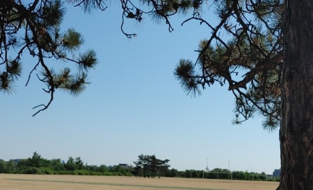 Photo of Father Joseph A. Nolan Park