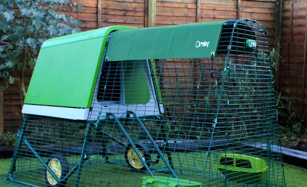 Photo of Four Legs or Wings Pets