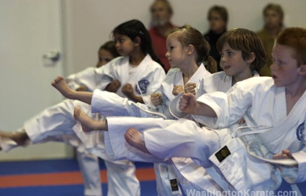 Photo of Washington Karate