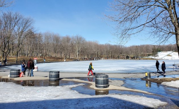 Photo of Beaver Lake Ice Skating Rink