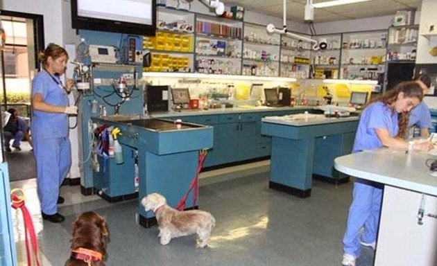 Photo of VCA Pacific Petcare Animal Hospital