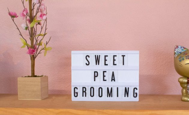 Photo of Sweet Pea Grooming