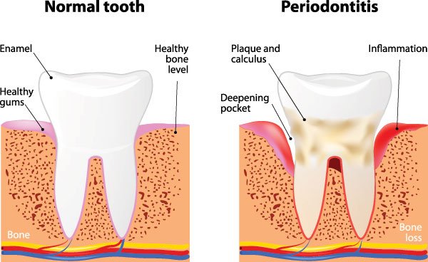 Photo of Gassler Dental