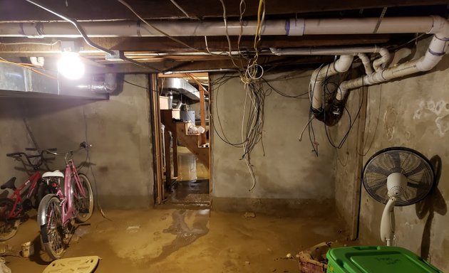 Photo of Mold Solutions & Inspections