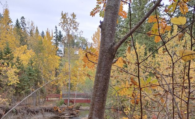 Photo of Mill Creek Park
