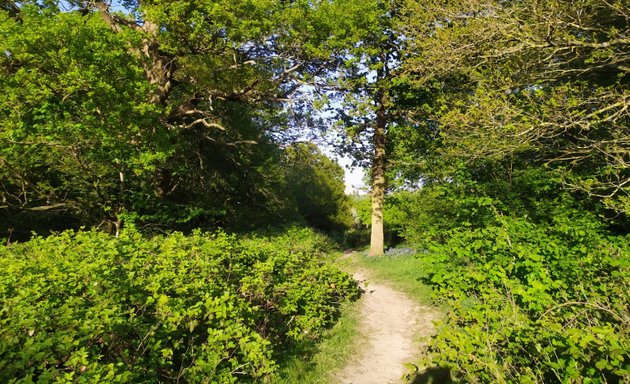 Photo of Horsenden Hill