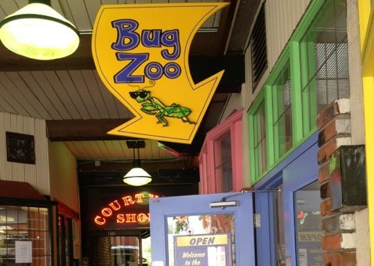 Photo of Victoria Bug Zoo