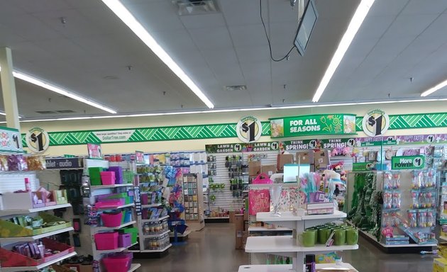 Photo of Dollar Tree