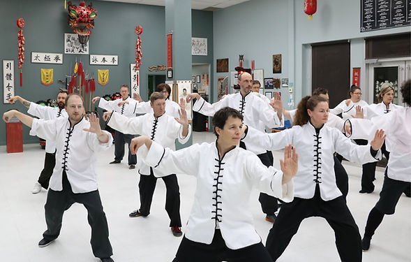 Photo of Institute Martial Arts Chinese Yves Laprise