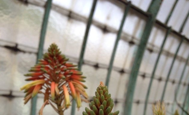 Photo de Jardin des Serres d'Auteuil