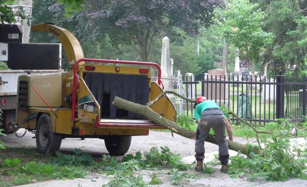 Photo of Harmony Tree Service