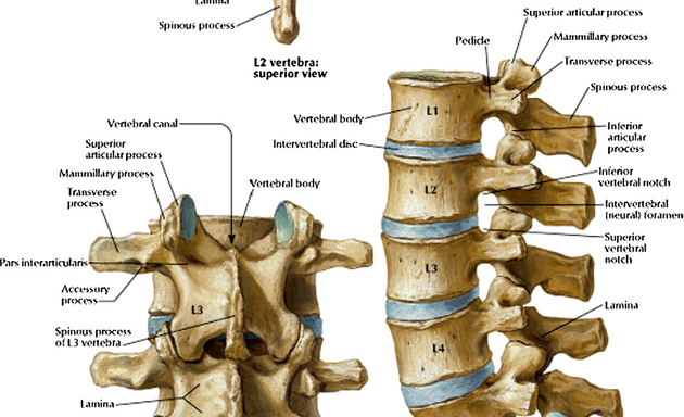 Photo of Dr.Pooja Mehta( Sports & Spine Physiotherapist)-Physio Hub