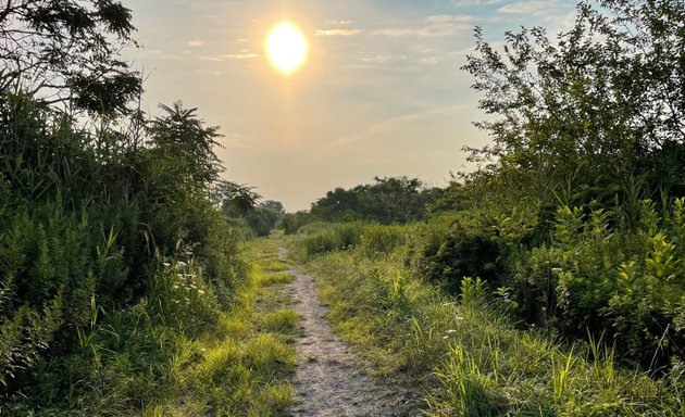 Photo of Spring Creek Park