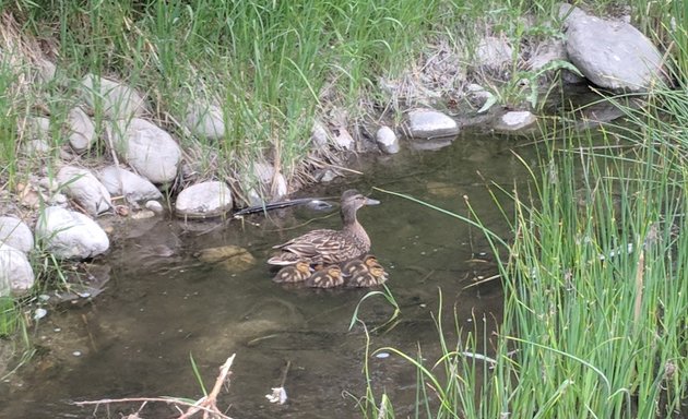 Photo of Brandts Creek Linear Park