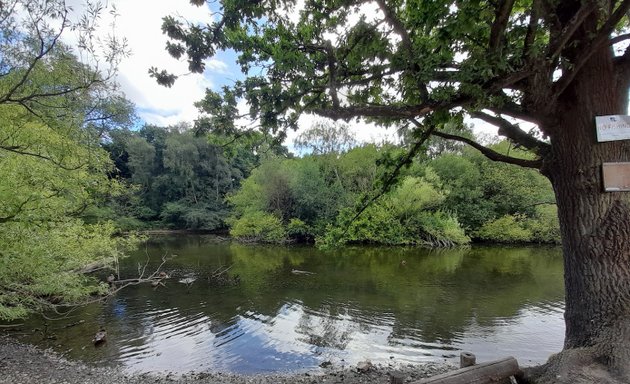 Photo of Chislehurst Open Space