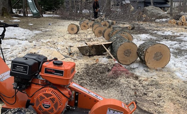 Photo of Genest Arboriculture