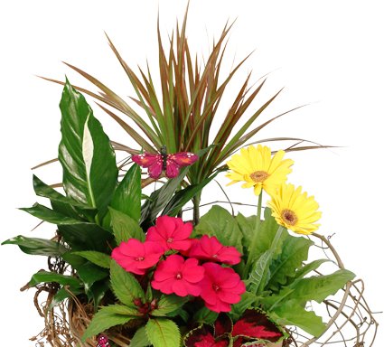 Photo of Victoria's Flowers & Gift Baskets
