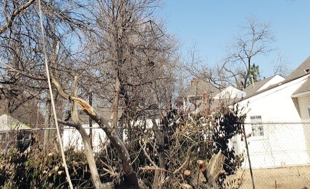 Photo of Slawson's Tree Service, Owner George Slawson