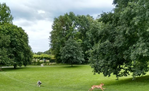 Foto von Formgeholze Garten